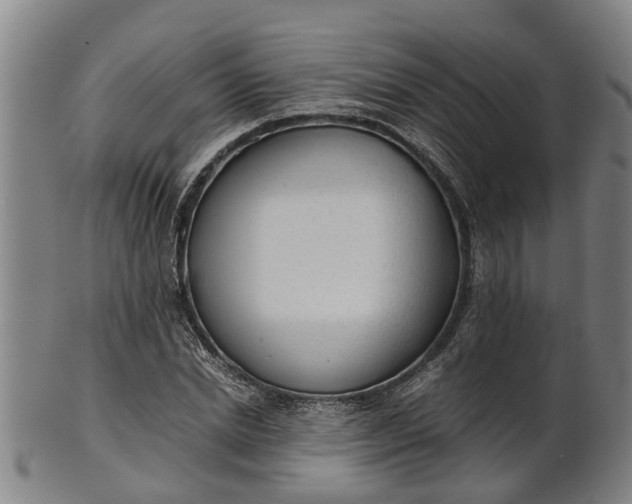 X0000101660830200807241415