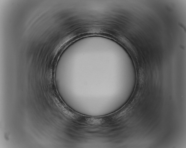 X0000101660831200807241415