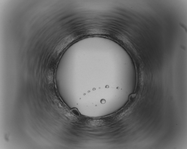 X0000101660833200807241415