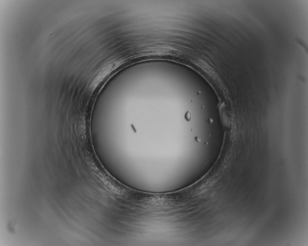 X0000101660834200807241415