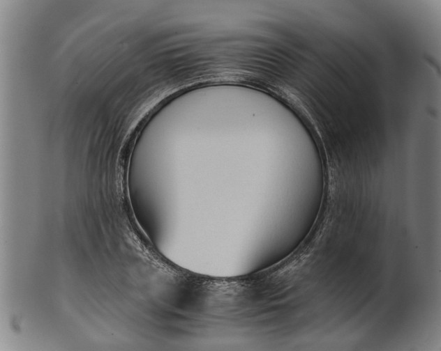 X0000101660835200807241415