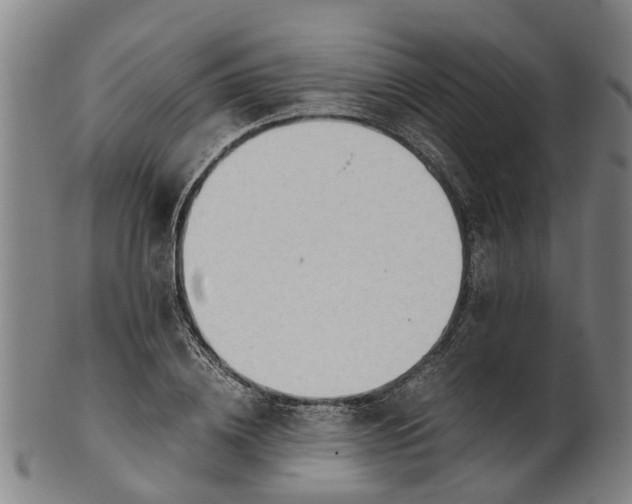 X0000101660836200807241415