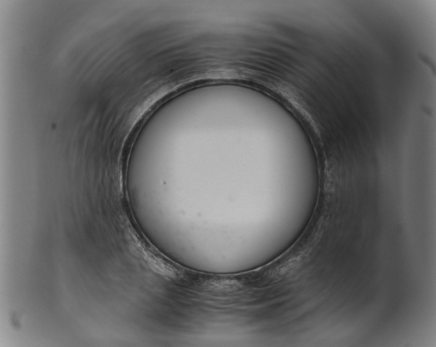 X0000101660837200807241415