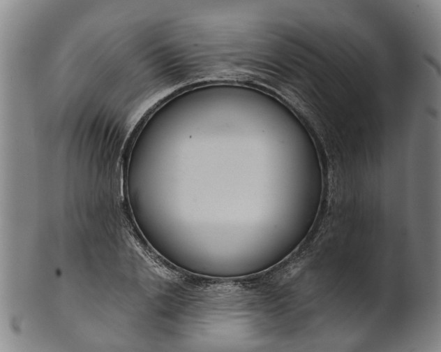 X0000101660838200807241415