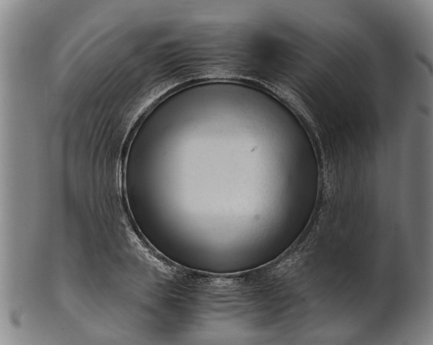 X0000101660839200807241415