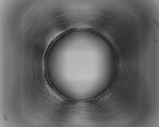 X0000101660840200807241415