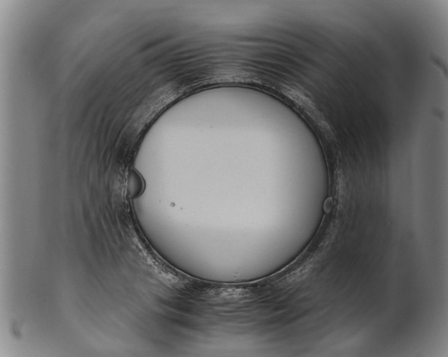 X0000101660841200807241415