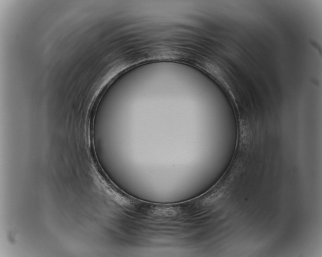 X0000101660843200807241416