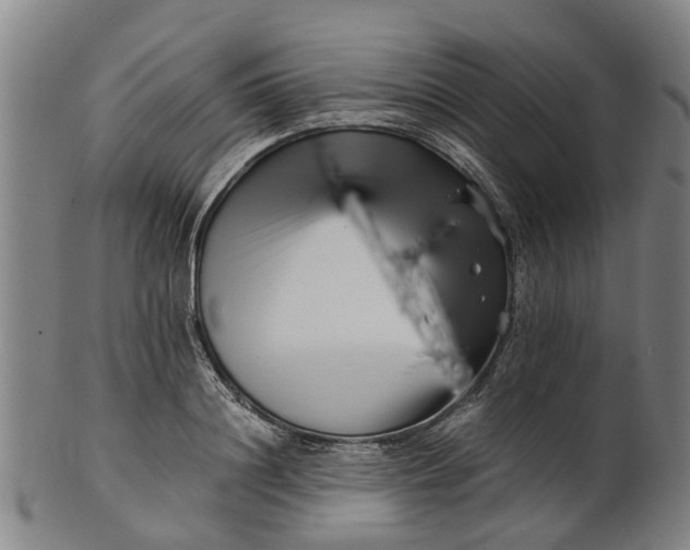 X0000101660844200807241416