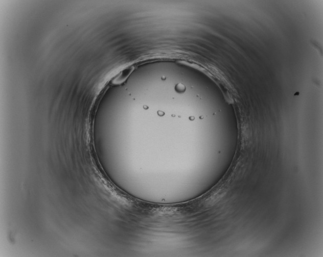 X0000101660846200807241416