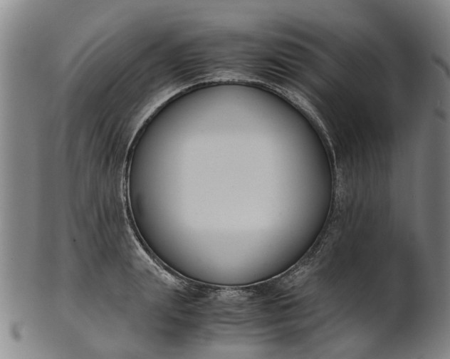 X0000101660847200807241416