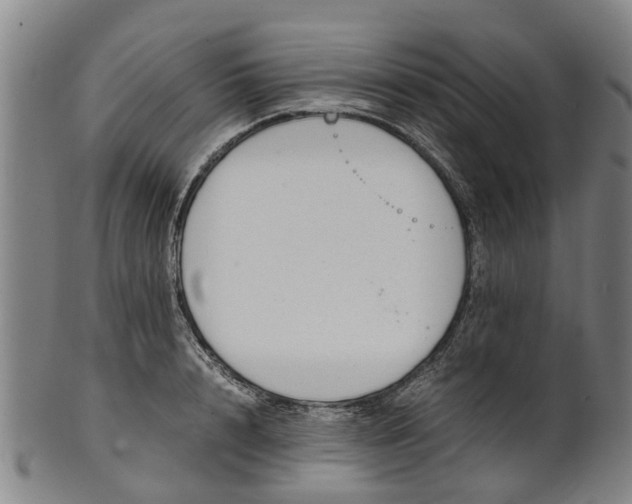 X0000101660848200807241416