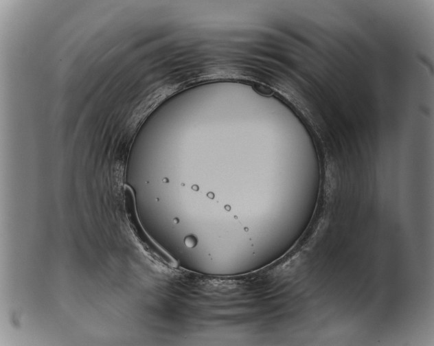 X0000101660849200807241416