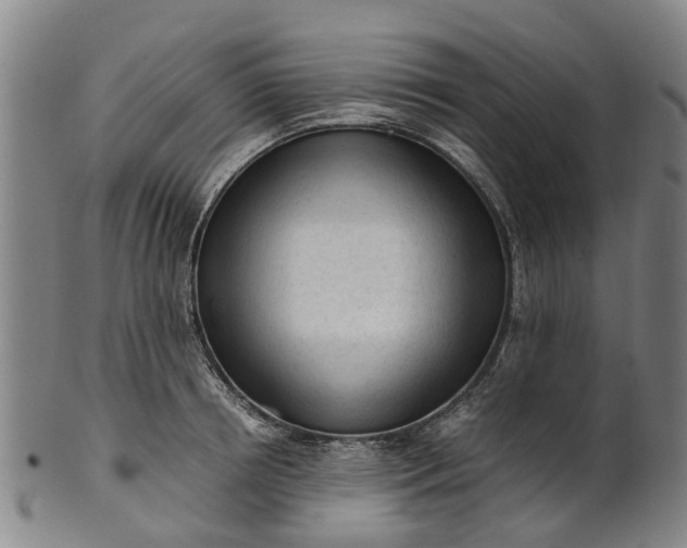 X0000101660850200807241416