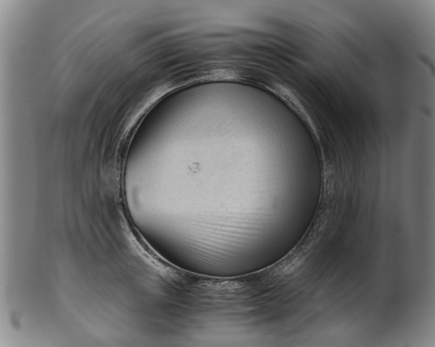 X0000101660851200807241416