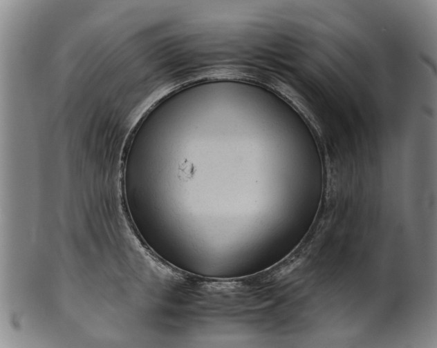 X0000101660853200807241416