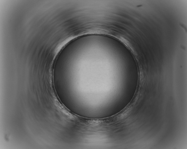 X0000101660854200807241416