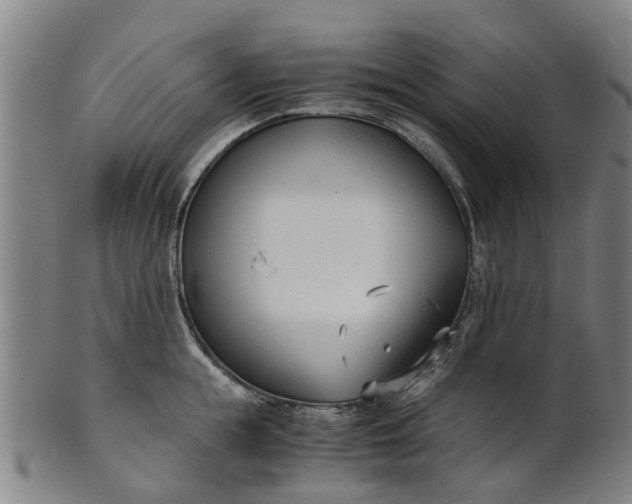 X0000101660855200807241416