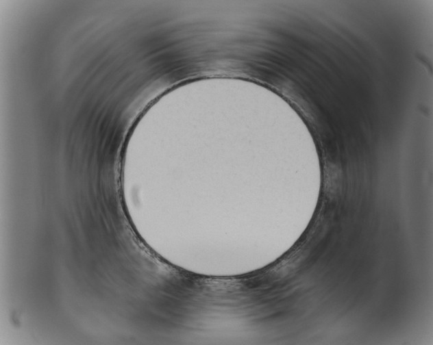 X0000101660856200807241416