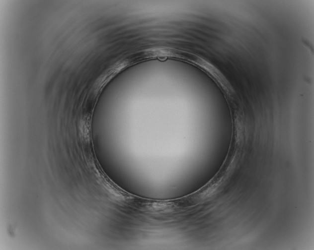 X0000101660857200807241416