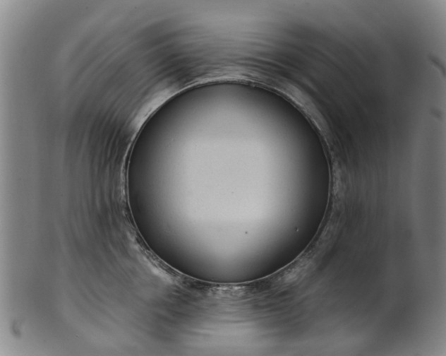 X0000101660858200807241416