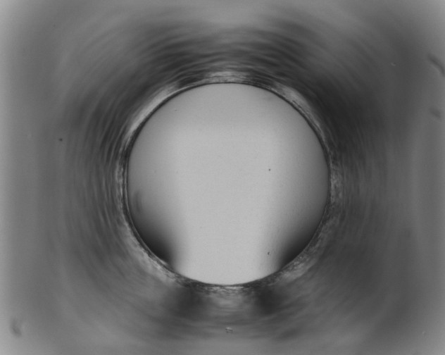 X0000101660859200807241416