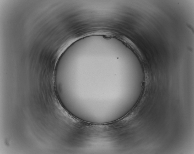 X0000101660860200807241416