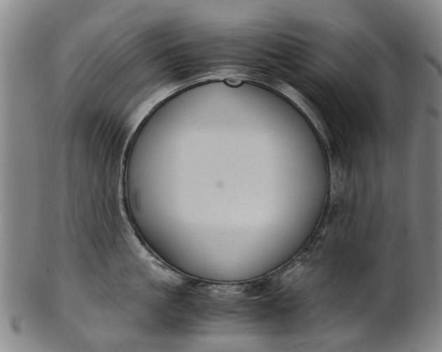 X0000101660861200807241416