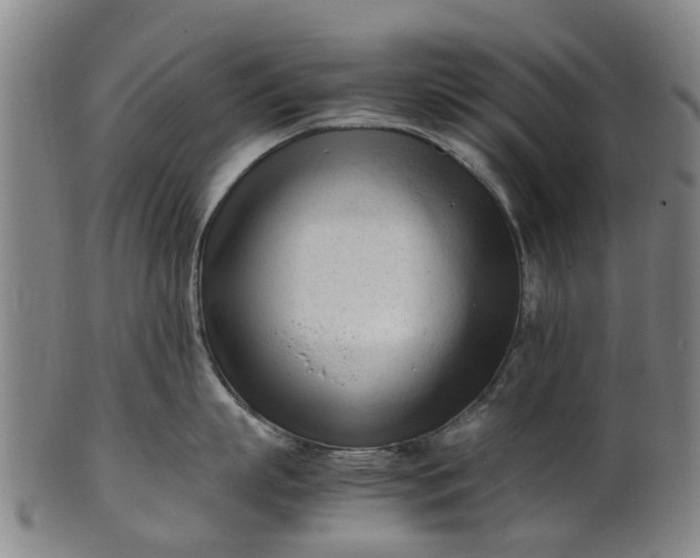 X0000101660863200807241416