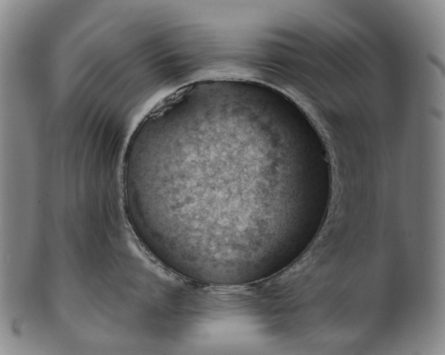 X0000101660864200807241416