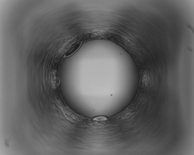 X0000101660868200807241415