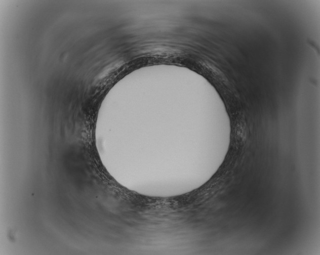 X0000101660869200807241415