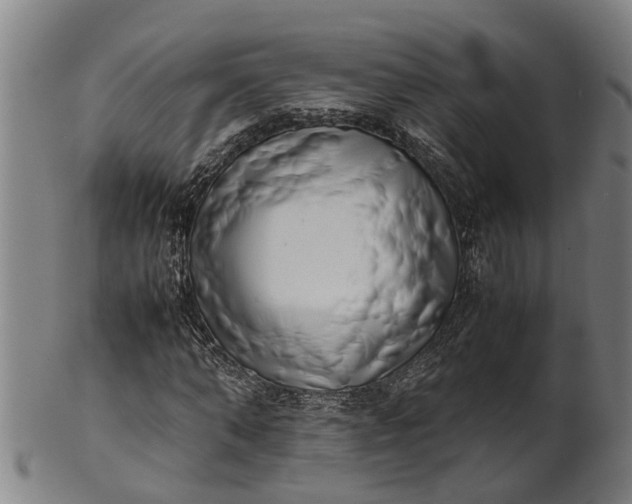 X0000101660870200807241415