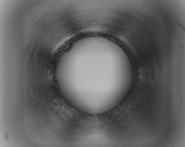 X0000101660872200807241415