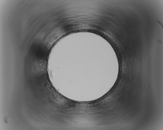 X0000101660873200807241415