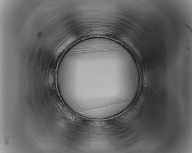 X0000101660874200807241415