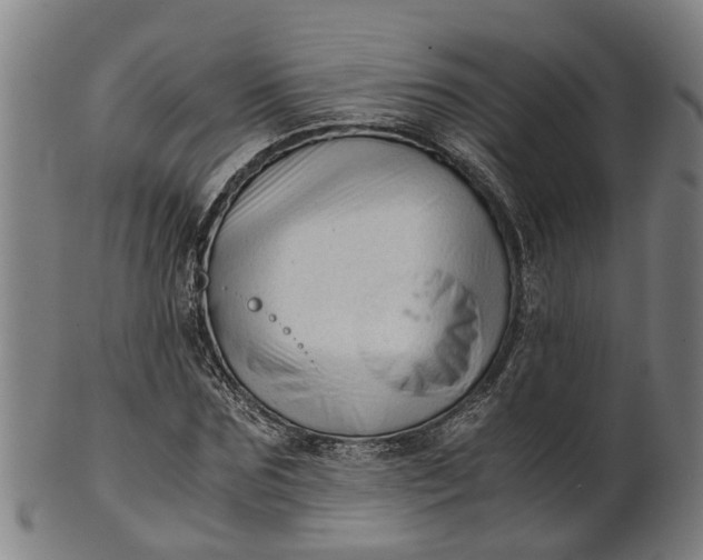 X0000101660875200807241415