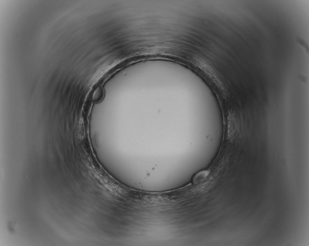 X0000101660876200807241415