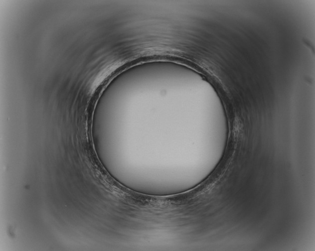 X0000101660877200807241415