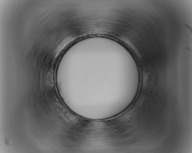 X0000101660878200807241415