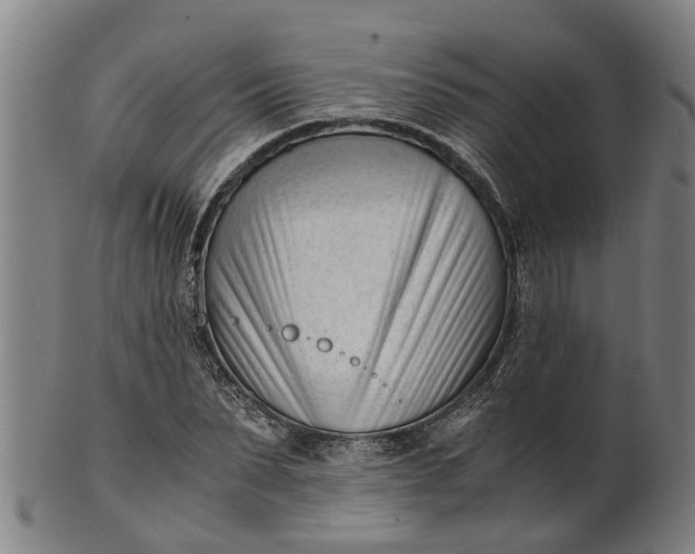 X0000101660879200807241415