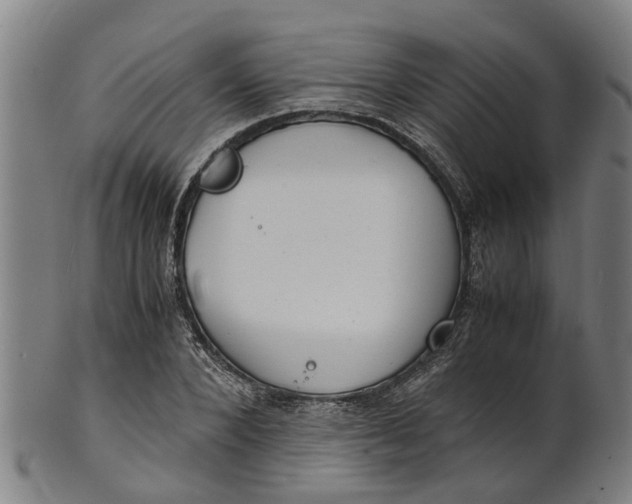 X0000101660880200807241415