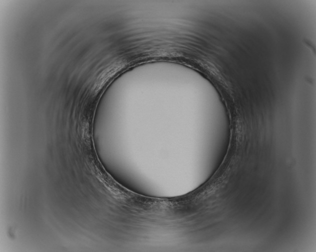 X0000101660881200807241415