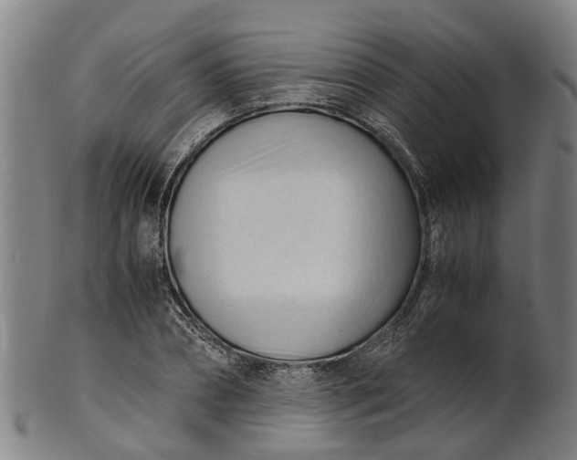 X0000101660882200807241415