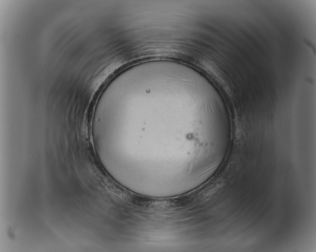 X0000101660883200807241415