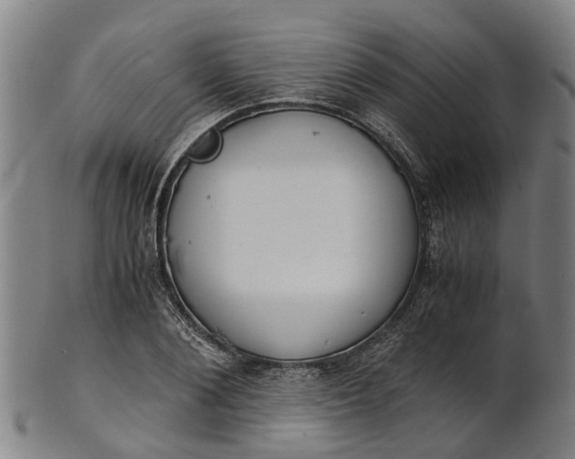 X0000101660884200807241415