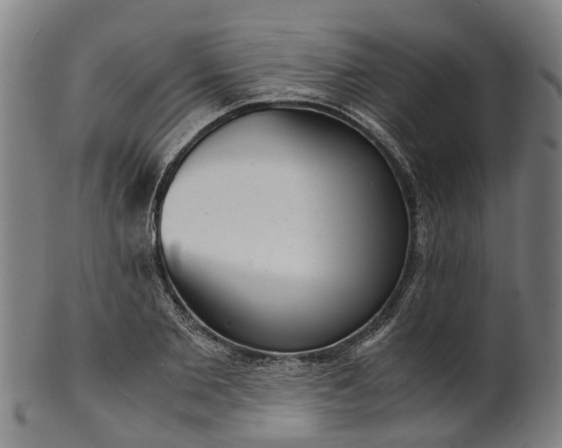 X0000101660885200807241415