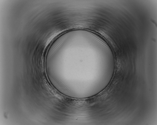 X0000101660886200807241415