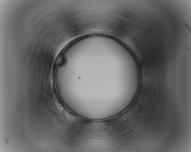 X0000101660888200807241415