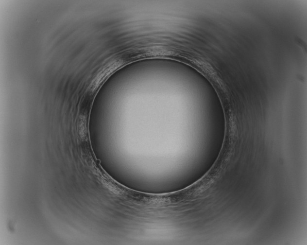 X0000101660889200807241415